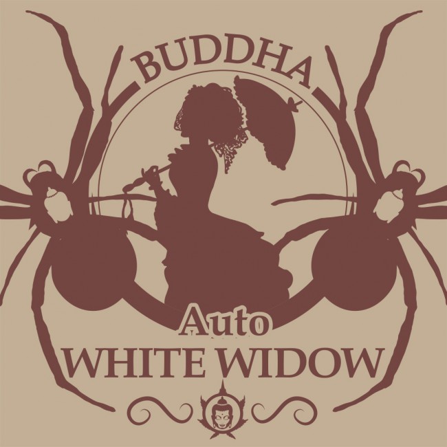 Buddha Auto White Widow